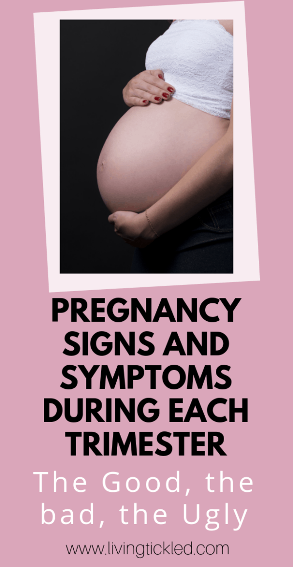 Pregnancy Symptoms and signs during each Trimester